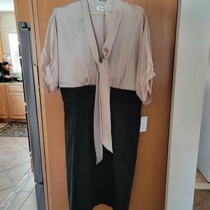 Women's V-Neck Dress, Dress Barn Size 12